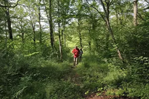 Auberive: Guided walk, Parc National de Forets, Haute-Marne, France