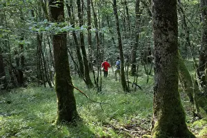 Auberive: Guided walk, Parc National de Forets, Haute-Marne, France