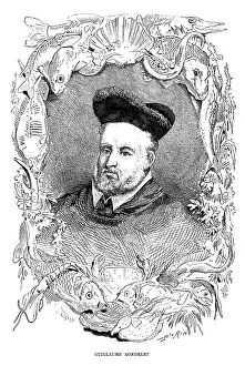 1566: GUILLAUME RONDELET - 3