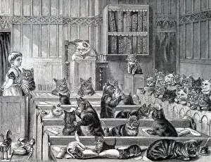 Guilty: Guilty or not Guilty, the Cats Court