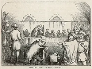 Offenders: A Guilty Sow