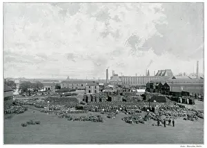 Storehouse: Guinness Brewery - Dublin 1890s