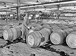Storehouse: The Guinness Brewery, St James's Gate, Dublin