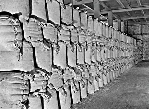 Storehouse: The Guinness Brewery, St James's Gate, Dublin