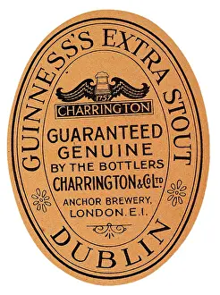 Stout: Guinness Extra Stout
