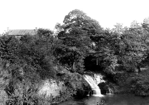 Storeys: Guisborough, Storeys Dump 1899