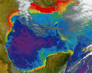 Depleted: Gulf of Mexico Dead Zone