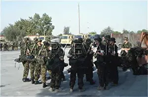 Briefed: GULF WAR/MEDICS