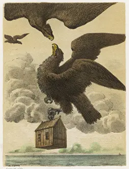 Gulliver: GULLIVER/EAGLE/HOUSE