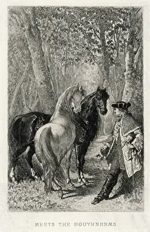 Gulliver: GULLIVER & HOUYHNHNM