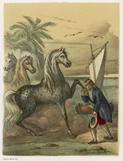 Hoof: GULLIVER/HOUYHNHNNMS