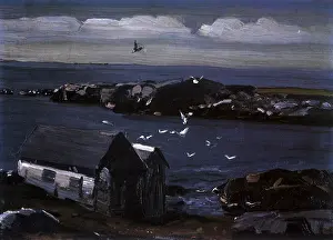 Seagulls: The Gulls, Monhegan