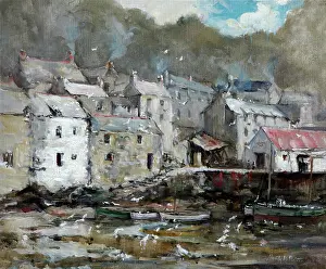 Polperro: The Gulls, Polperro