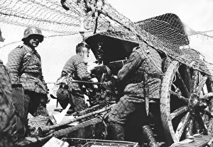 7.5cm: Gun camouflaged against airplanes, 1938