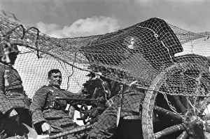7.5cm: Gun camouflaged against airplanes, 1938