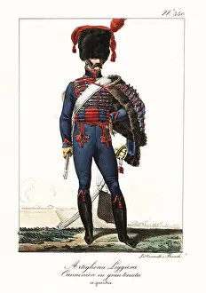Sabretache: Gunner in the Light Artillery, Napoleon's army