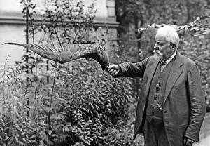 Lilienthal: Gustav von Lilienthal