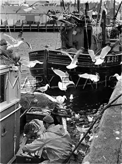 Gutting: GUTTING THE CATCH