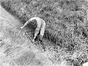 Gutting: GUTTING A DITCH