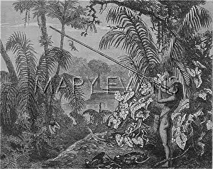 Blowpipe: GUYANAN BLOWPIPE 1850