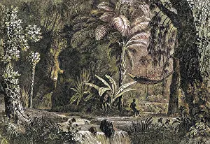 GUYANE FRANCAISE SCENE