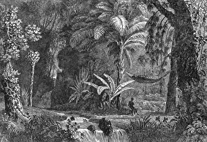GUYANE FRANCAISE SCENE