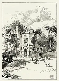 Lambs: Guy's Cliffe House, Warwickshire
