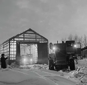 Altay: Gvardeysky state farm