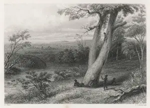 Gwalior: GWALIOR PLAINS AUSTRALIA