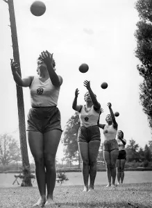 Synchronised: Gymnastic Exercises