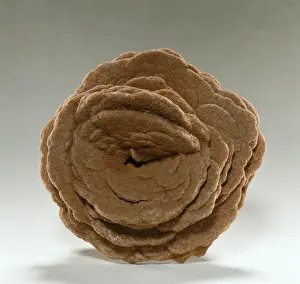 Sulphate: Gypsum crystals - A desert rose
