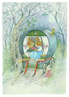 Bunnies: Gypsy Bunnies