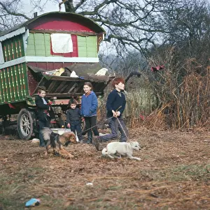 Romany: GYPSY CHILDREN AND DOGS