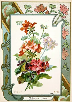 Retrographics Limited: H & Cie - Geraniums - No.10