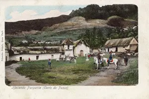 Ranch: Hacienda Panpania, Cerro de Pasco, Peru, South America