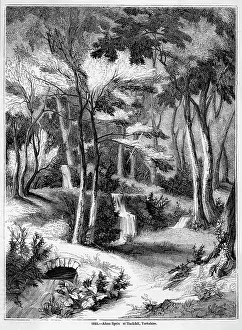 Alum: HACKFALL SPRING