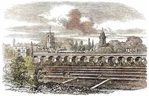 Cress: Hackney Station and watercress plantation