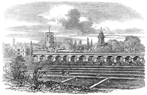 Cress: Hackney Station and watercress plantation