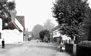 Hadham: Much Hadham, Main Street 1899