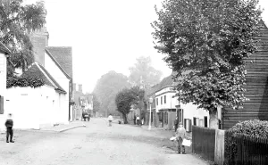 Hadham: Much Hadham, Main Street 1899