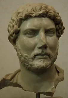 Massimo: Hadrian. Roman emperor. Bust