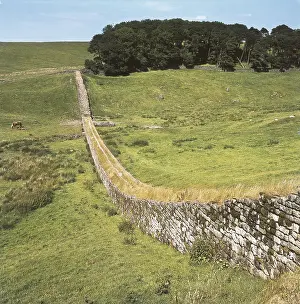 Housesteads: Hadrian's Wall