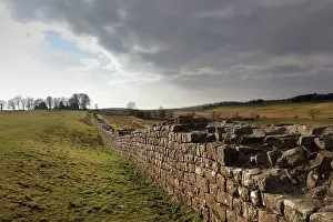 Whin: Hadrian's Wall, Cumbria, England