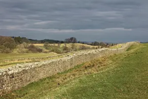 Whin: Hadrian's Wall, Cumbria, England