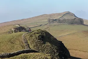 Whin: Hadrian's Wall, Northumberland, England