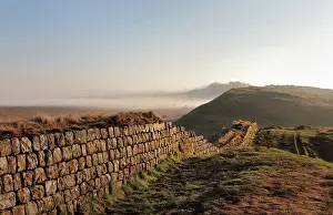 Whin: Hadrian's Wall, Northumberland, England