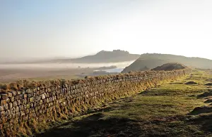 Whin: Hadrian's Wall, Northumberland, England
