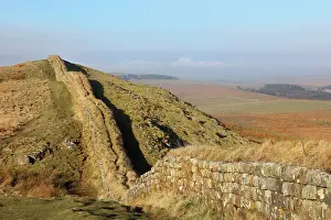 Whin: Hadrian's Wall, Northumberland, England