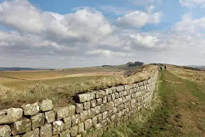 Whin: Hadrian's Wall, Northumberland, England