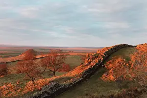 Whin: Hadrian's Wall, Northumberland, England